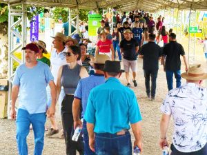 Foto colorida de um corredor coberto em evento ao ar livre - o tecnoeste. Diversas pessoas caminham nos dois sentidos sobre piso de brita. A maioria é adulta, vestindo roupas casuais; alguns homens usam chapéu e boné. Em primeiro plano, há pessoas de costas e de frente, incluindo um homem de camiseta azul clara e boné vermelho, uma mulher de regata cinza e óculos escuros e um homem de camisa azul-turquesa segurando uma garrafa de água. A estrutura é metálica, com cobertura opaca. Nas laterais há plantação de milho à direita e aparecem troncos de árvores à esquerda. Ao fundo, o corredor segue cheio de visitantes e há placas informativas verdes fixadas na estrutura.